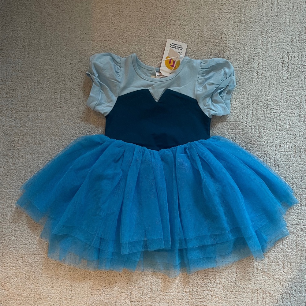 SOLD NWT Taylor Joelle Dress